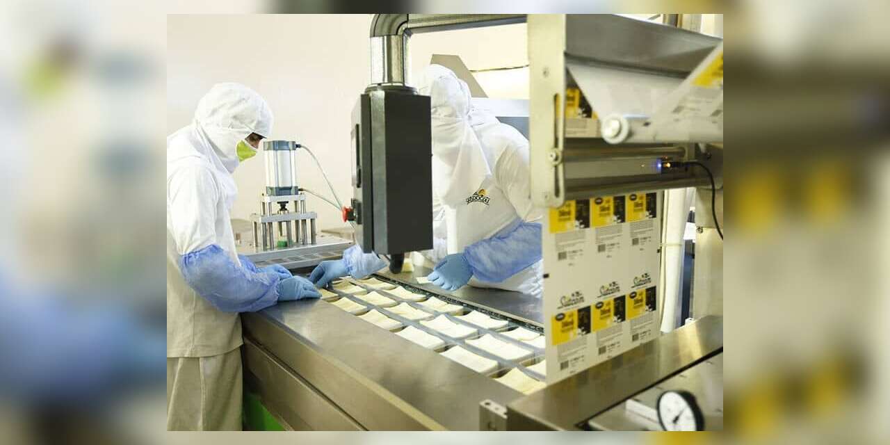 Gıda devi üretimi durdurdu: Fabrikasını satışa çıkardı