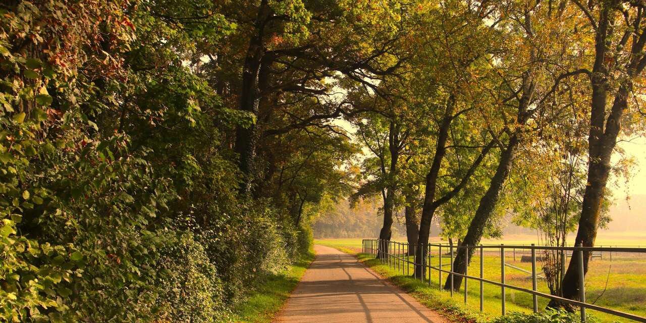 Havası 'en temiz' ve 'en kötü' iller belli oldu