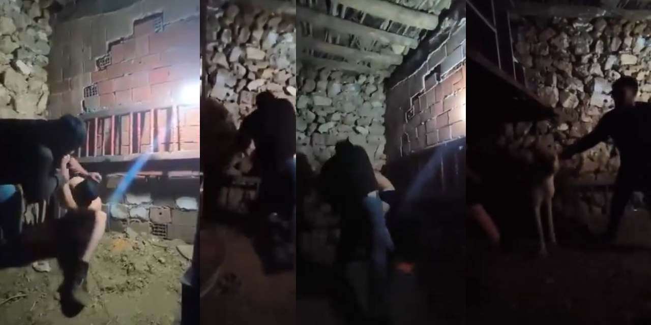 Ahırda işkenceye uğradı, köpekle tehdit edildi: Bunları yapan kişi serbest bırakıldı