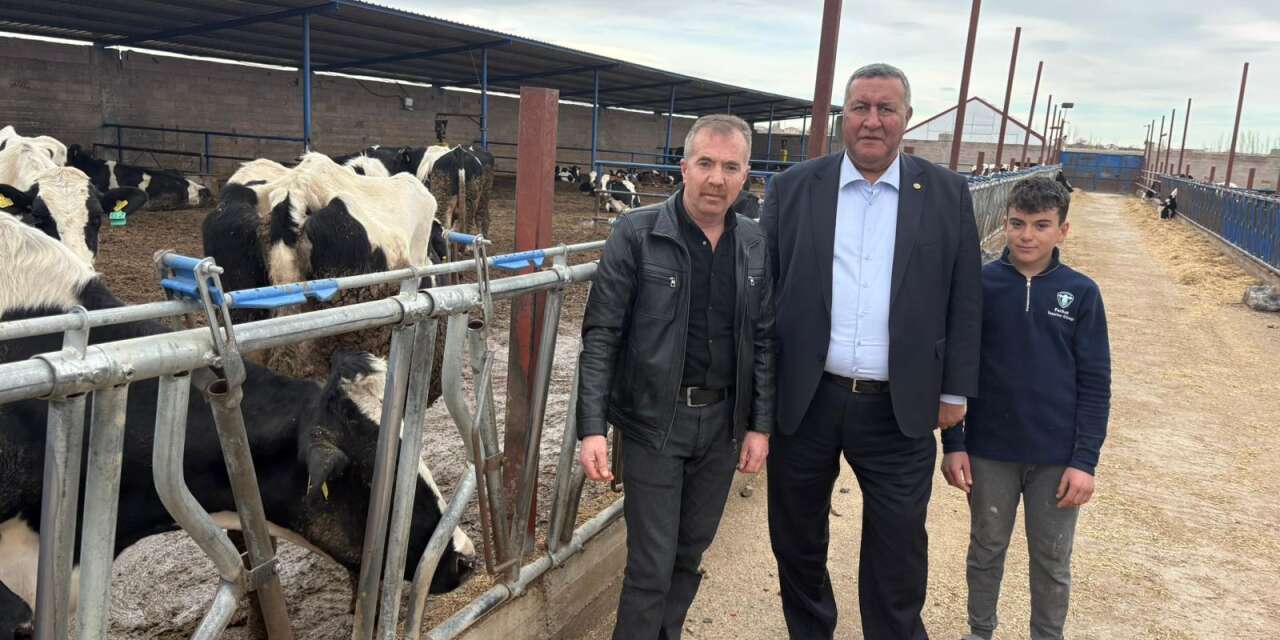 Yem 900 lira, süt 20,5 lira: Üretici dayanma sınırında