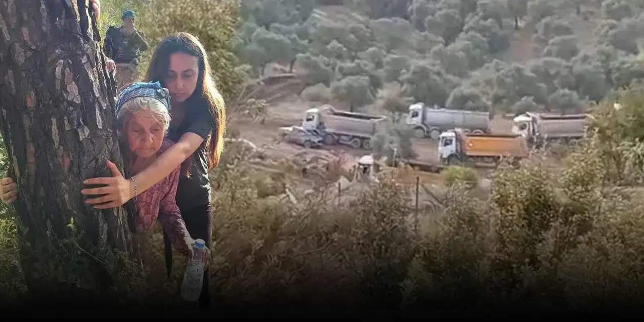 ‘Milli Parklar Kanunu’ Meclis’te: CHP'li Sümer’den ‘sırada Uludağ mı var’ sorusu