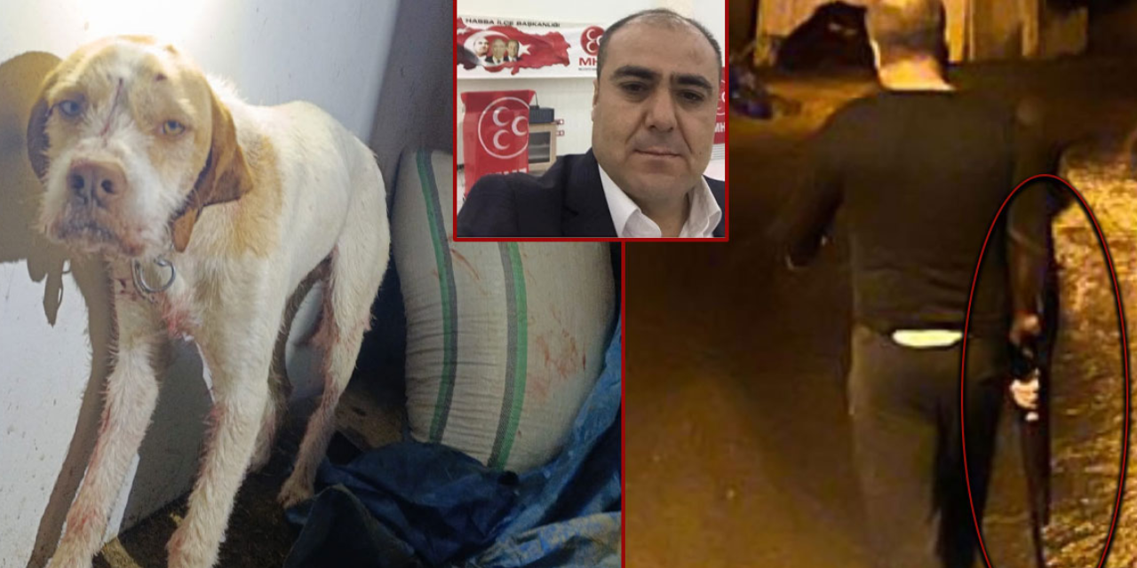 MHP'li başkan, köpeğe kurşun yağdırdı; sahibine tehditler savurdu