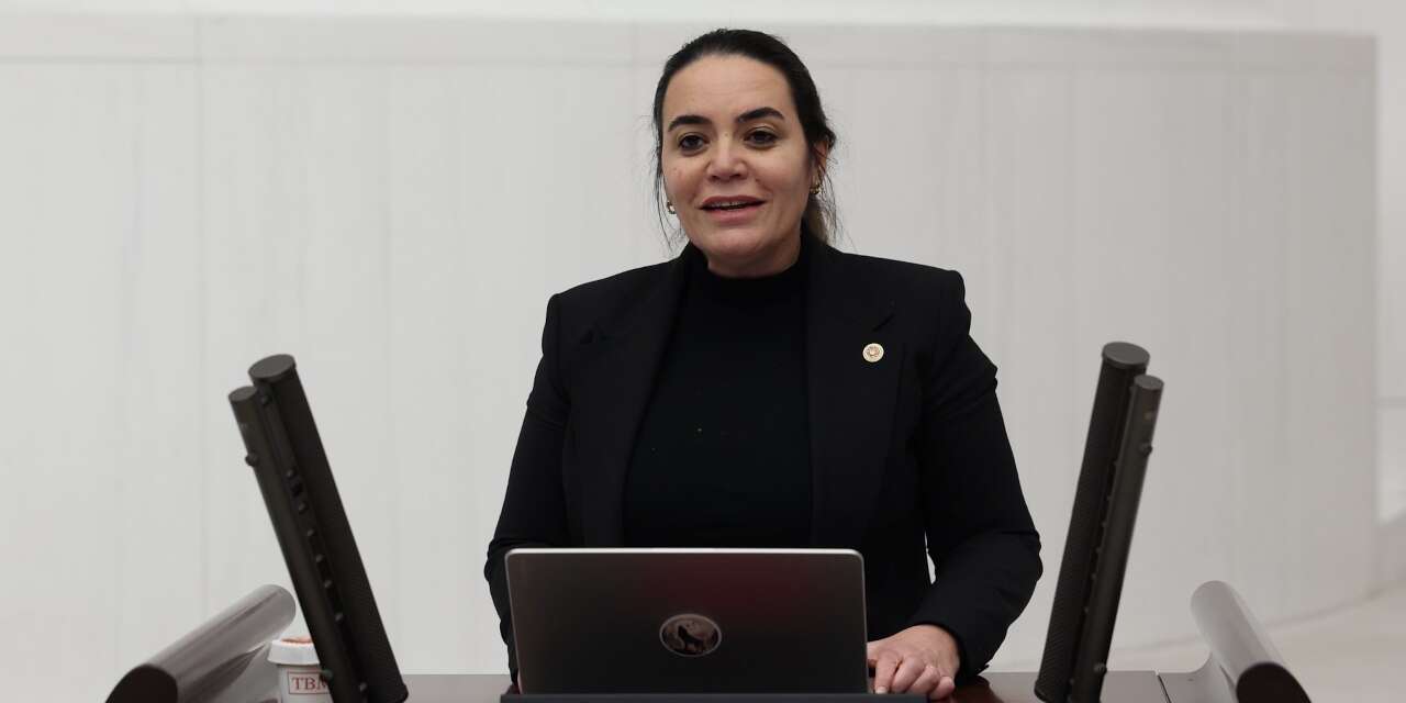 Ayyüce Türkeş'ten Bahçeli'ye tepki: Öcalan'ın statüsü gayet net