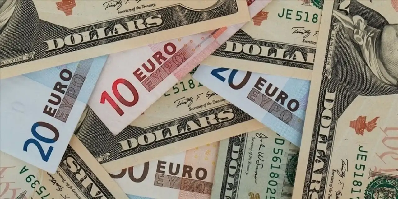 Döviz kurunda istikrarlı yükseliş