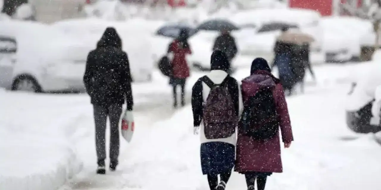 Doğu’yu kar vurdu: İşte tatil edilen okullar