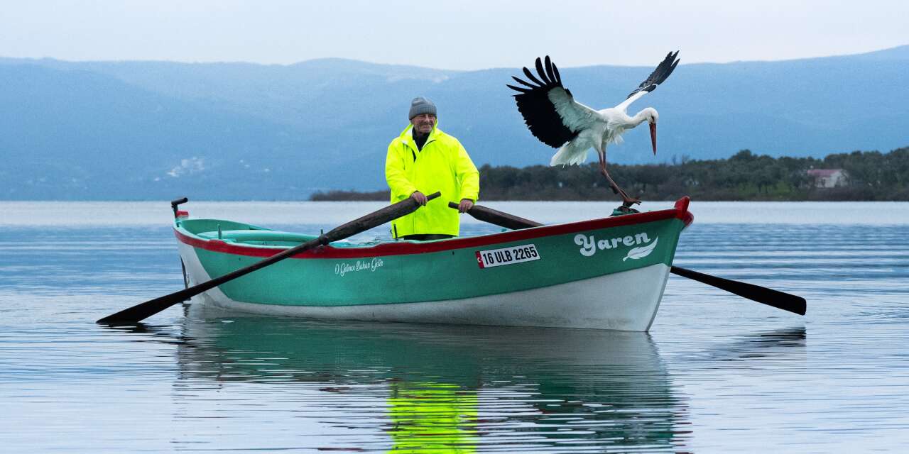 Bekleyenlere müjde: Yaren Leylek, Adem Amca ile buluştu