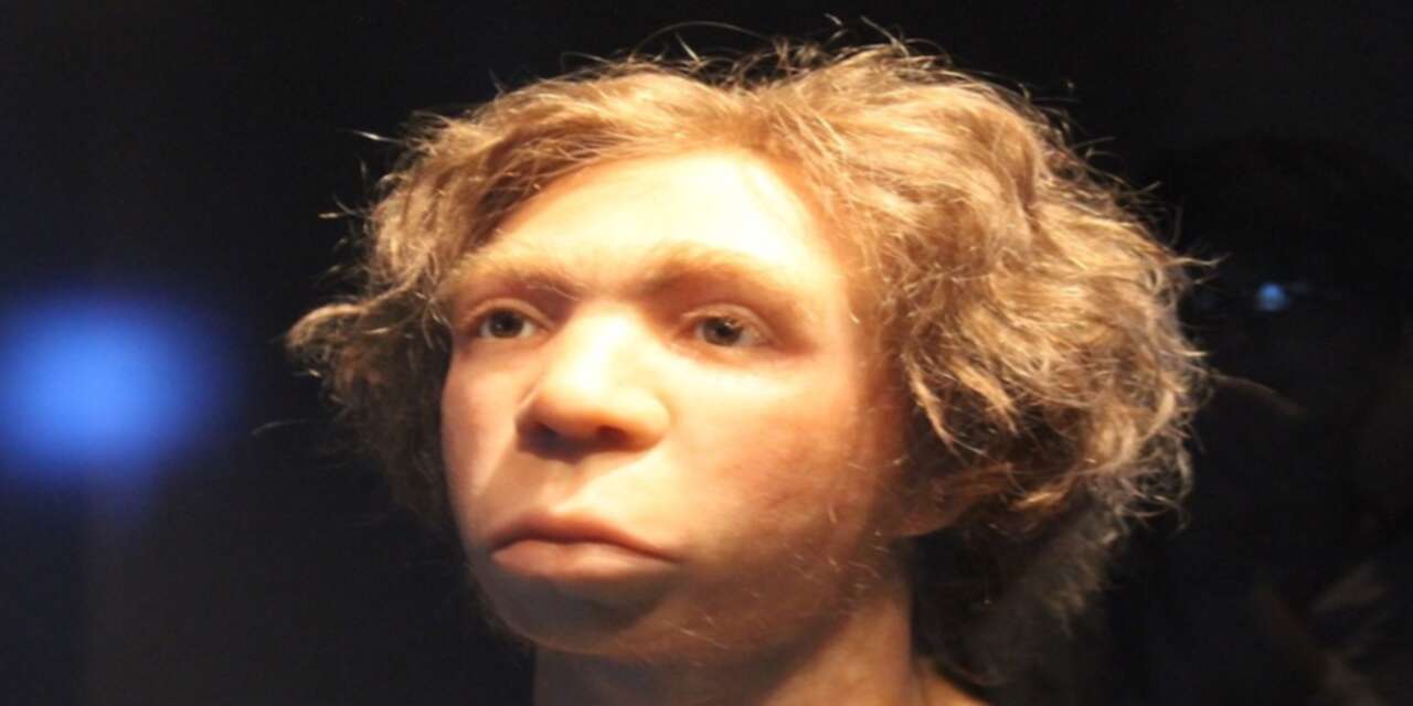 Erkek Neandertaller ve kadın Homo sapiens çiftleşmiş