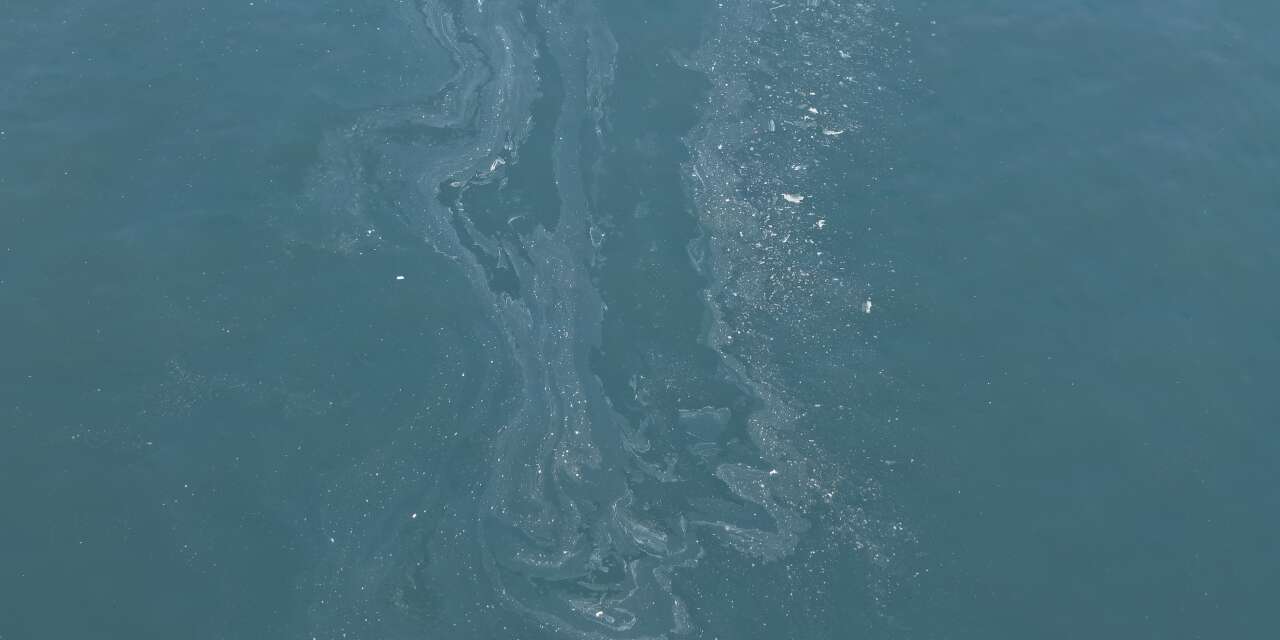 İzmir Körfezi'nde kirlilik tespit edildi