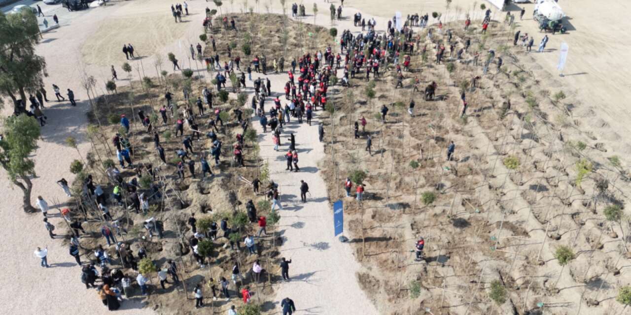 Bornova’ya “mikro orman”: İzmir İtfaiyesi Korusu kuruluyor