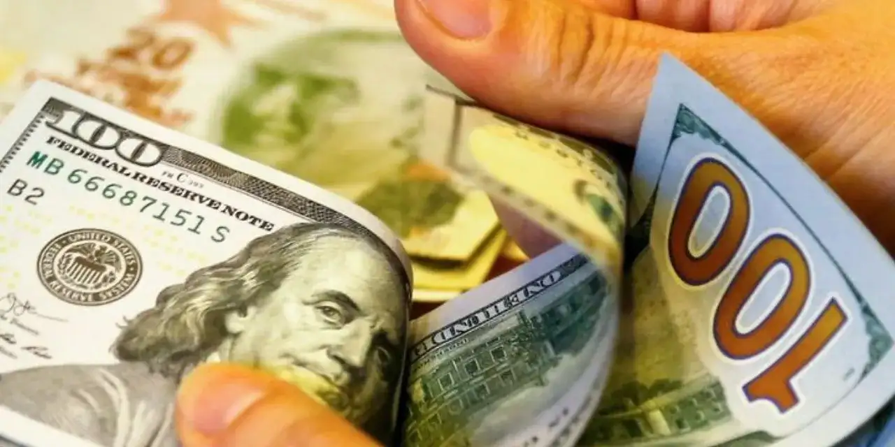 Euro ve Dolar için Merkez Bankası freni