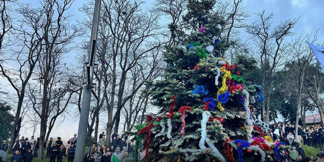 Yıldız Teknik Üniversitesi rektörü ağaç süsleyen 16 öğrenciyi savcılığa şikayet etti
