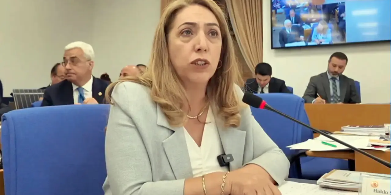 DEM Parti’den Dilan Karaman için özeleştiri: Saliha Aydeniz hakkında soruşturma süreci başlatıldı