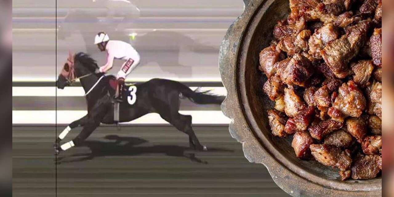 Şampiyon at kavurma yapılıp yenildi: Olayın detayları ortaya çıktı, başka atlar da var...