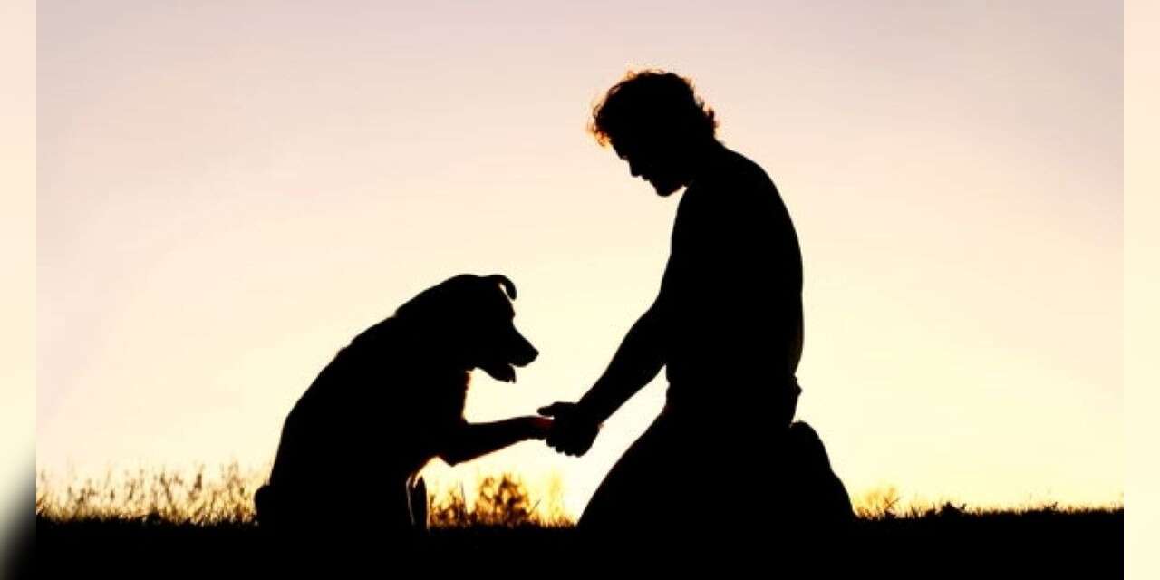 Köpek sahibi olmak kalbinizi koruyor