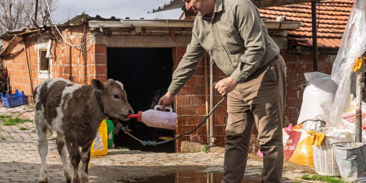İzmir’de kırsala 1,4 milyarlık destek: Fidan, sulama ve üreticiye doğrudan satış