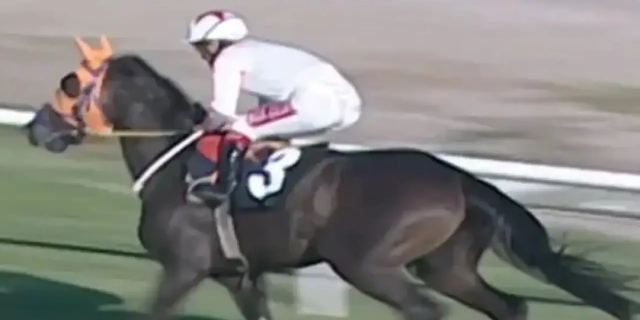 Şampiyon atı kavurma yaptılar: Skandalın ucu Süleymancılara uzandı