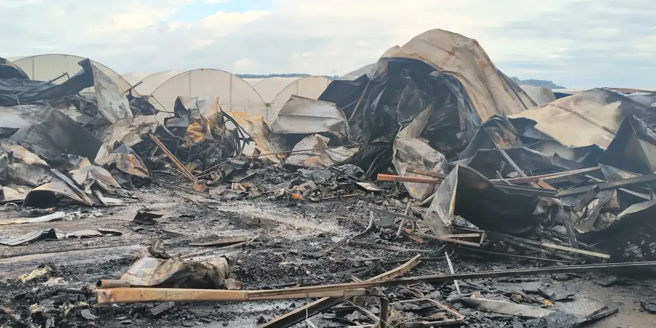 Hamile bir anne ve 5 çocuk: Yangında hayatını kaybettiler!