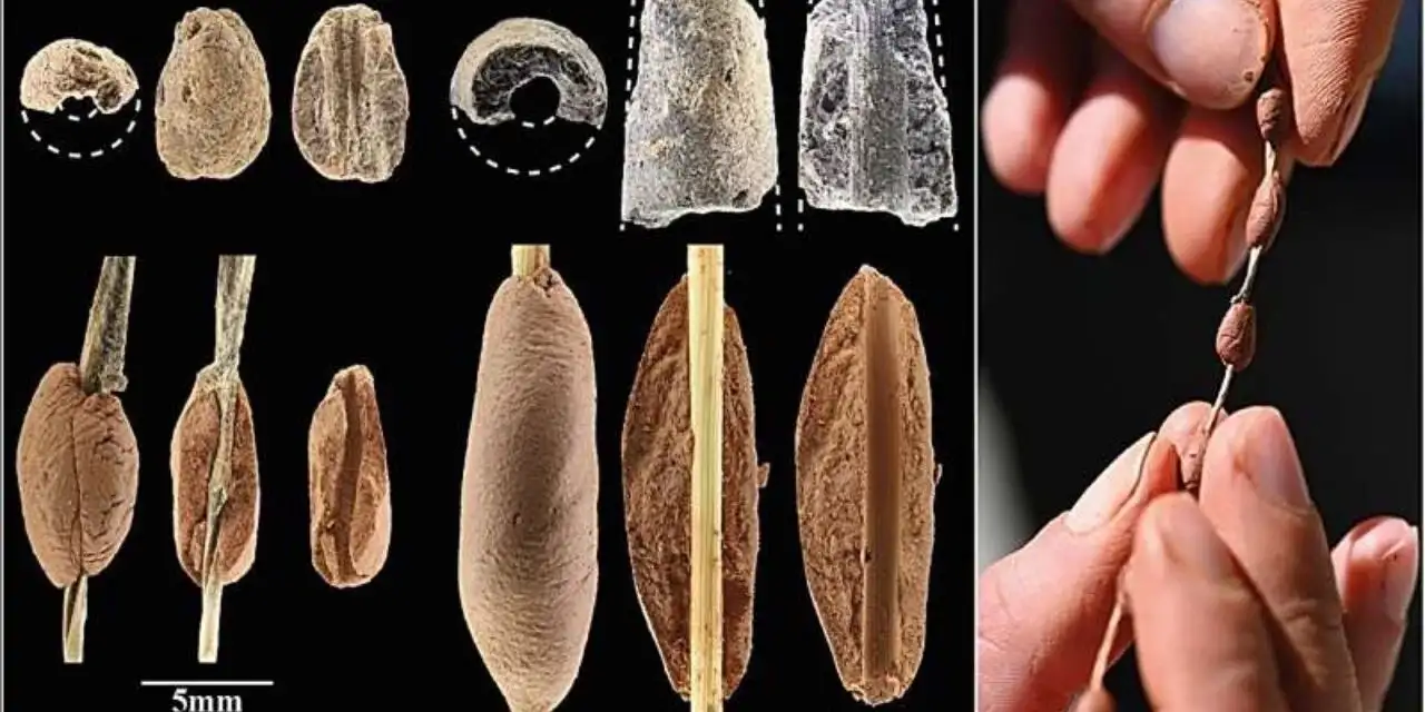 15 bin yıllık parmak izleri ortaya çıkardı: Çocuklar da yapmış