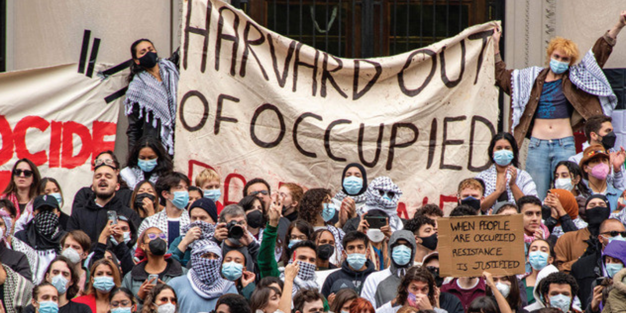 Filistin'e destek Harvard’ı "Antisemitizm" sanığı yaptı