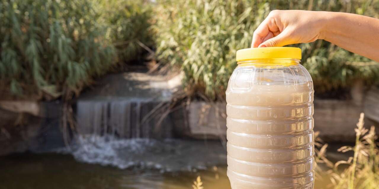 Gediz’de alarm: Kirlilik körfezi aştı, tarımı da tehdit ediyor