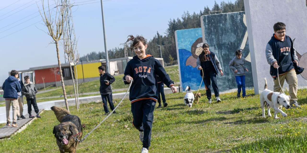 İzmir’de 2 bin 300 hayvan yuva bekliyor: “Sahiplenmek heves değil, sorumluluk”