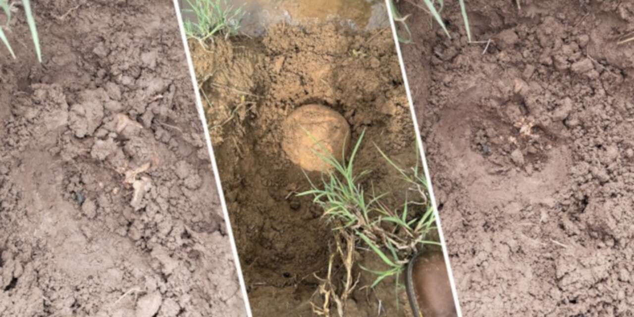 Lice'de bulunan kemikler biri çocuk 2 kişiye ait çıktı