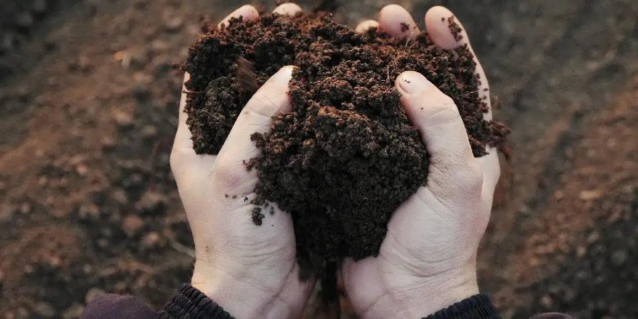 DMM'den ‘gübre ve gıda krizi’ açıklaması