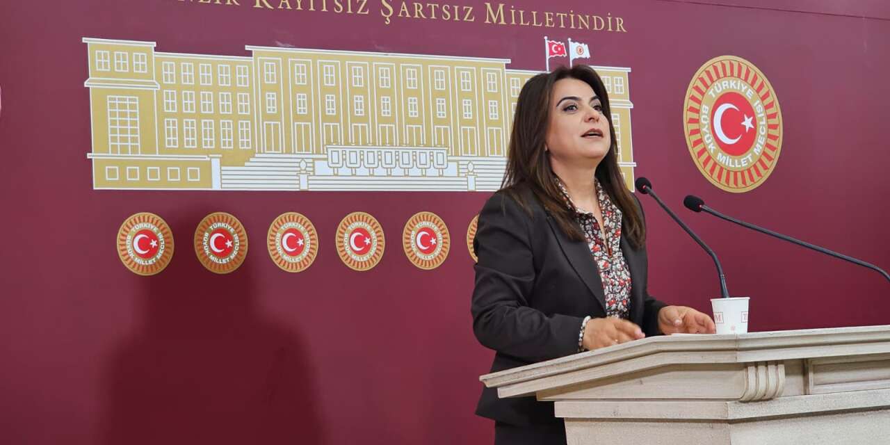 DEM Parti'den Meclis'e süreç çağrısı