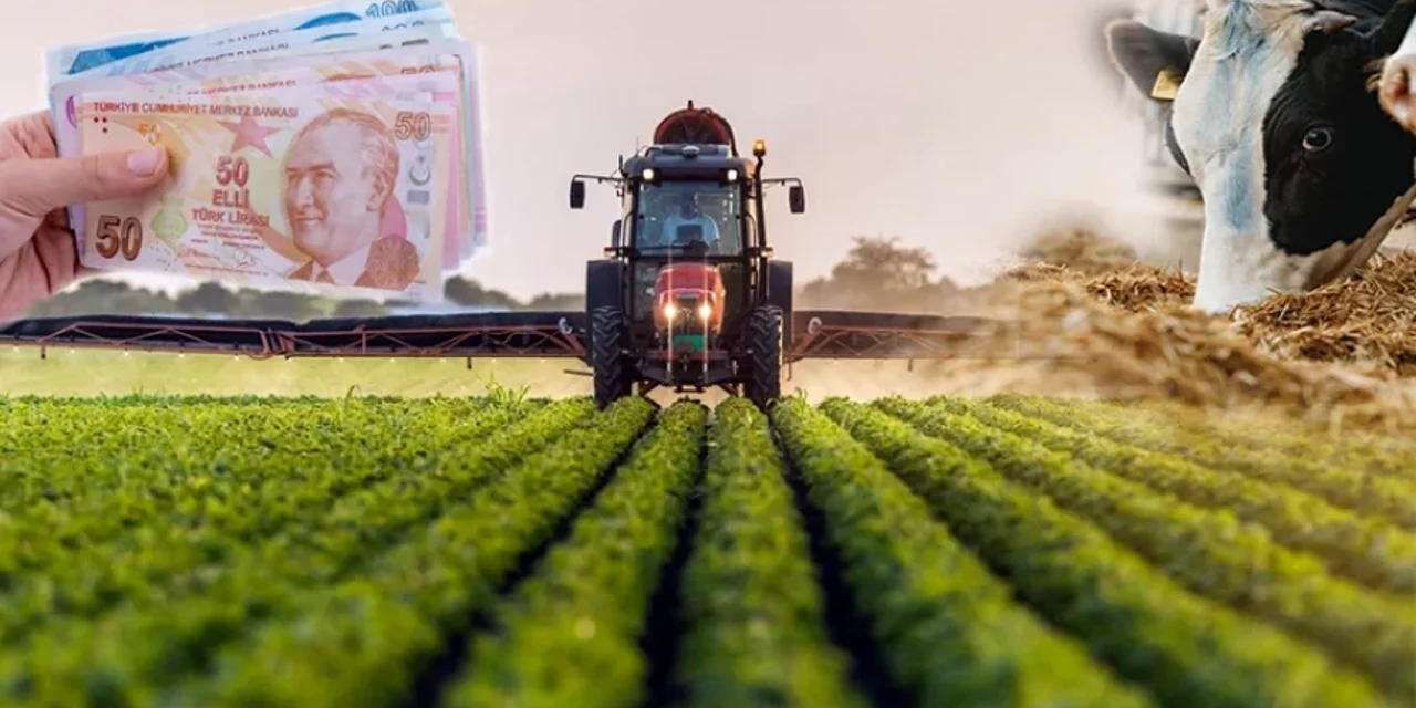 Savaş mutfakları vuruyor