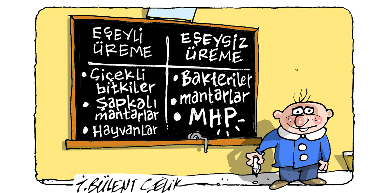 İ. Bülent Çelik'in 29 Mart 2026 tarihli karikatürü