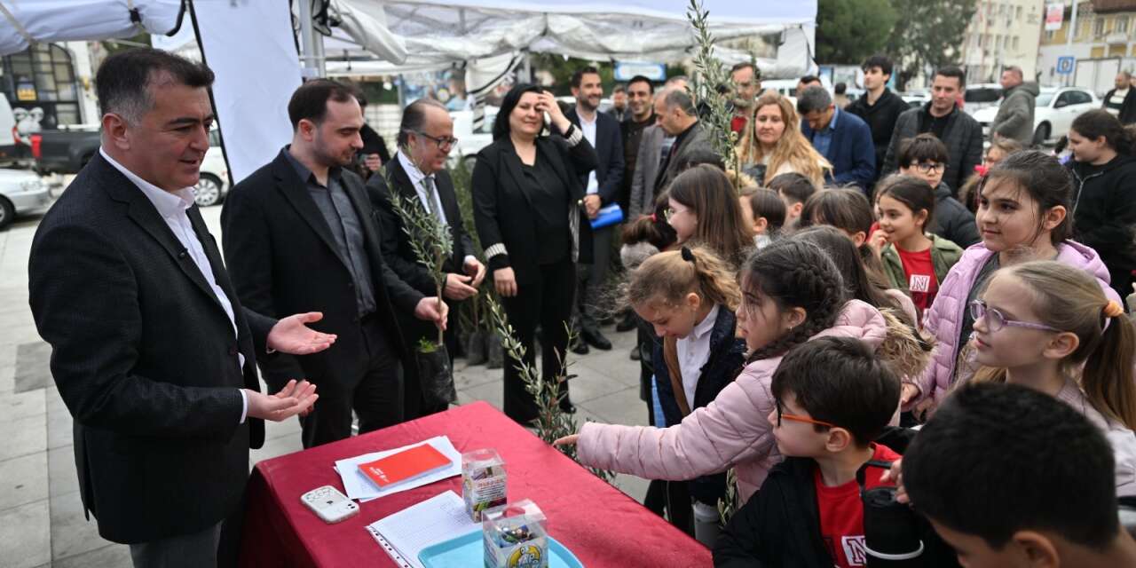 Manisa'da atık pil getirene zeytin fidanı