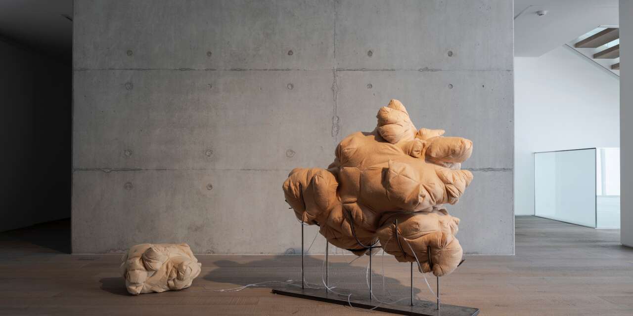 “Canavarların vaatleri” sergisi Hara’da açıldı