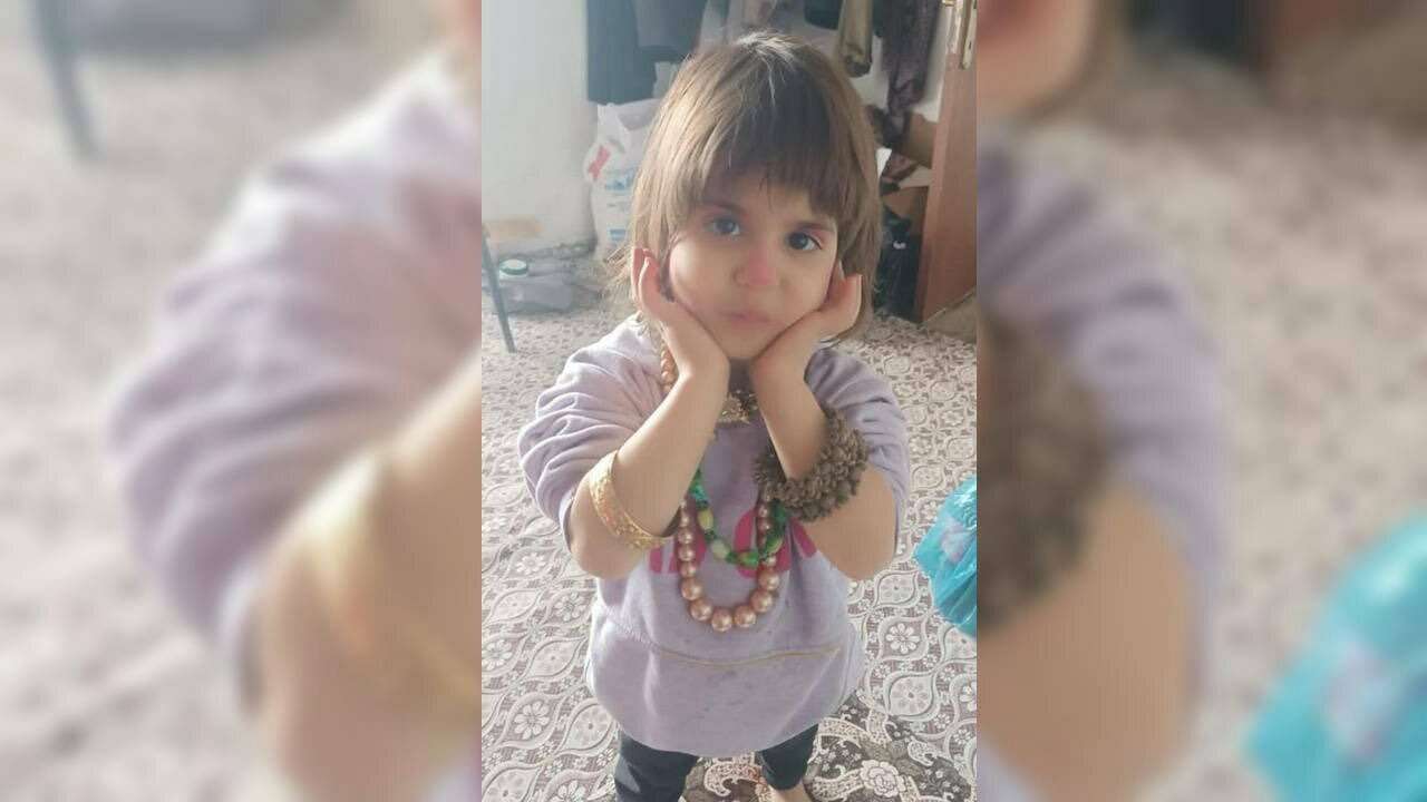 Bitlis'te kaybolan 4 yaşındaki Rabia için arama çalışması başlatıldı