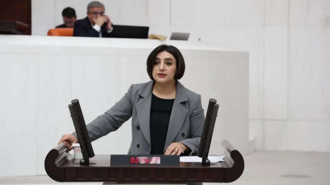 DEM Partili vekilden baraj uyarısı: 16 köy yok olacak