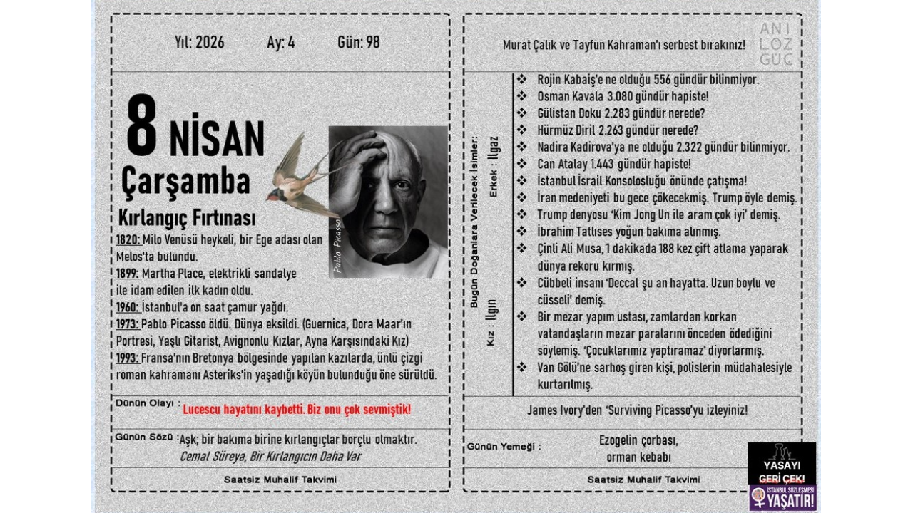 Kırlangıç Fırtınası