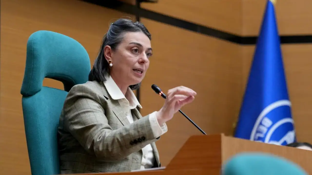 Tutuklamalar sonrası Sinem Dedetaş'tan ilk tepki: Arkadaşlarımızın yanındayız