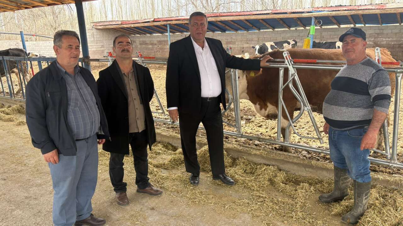 Süt üreticisi ayakta kalamıyor: “Bir bankadan çekip öbürüne ödüyoruz”