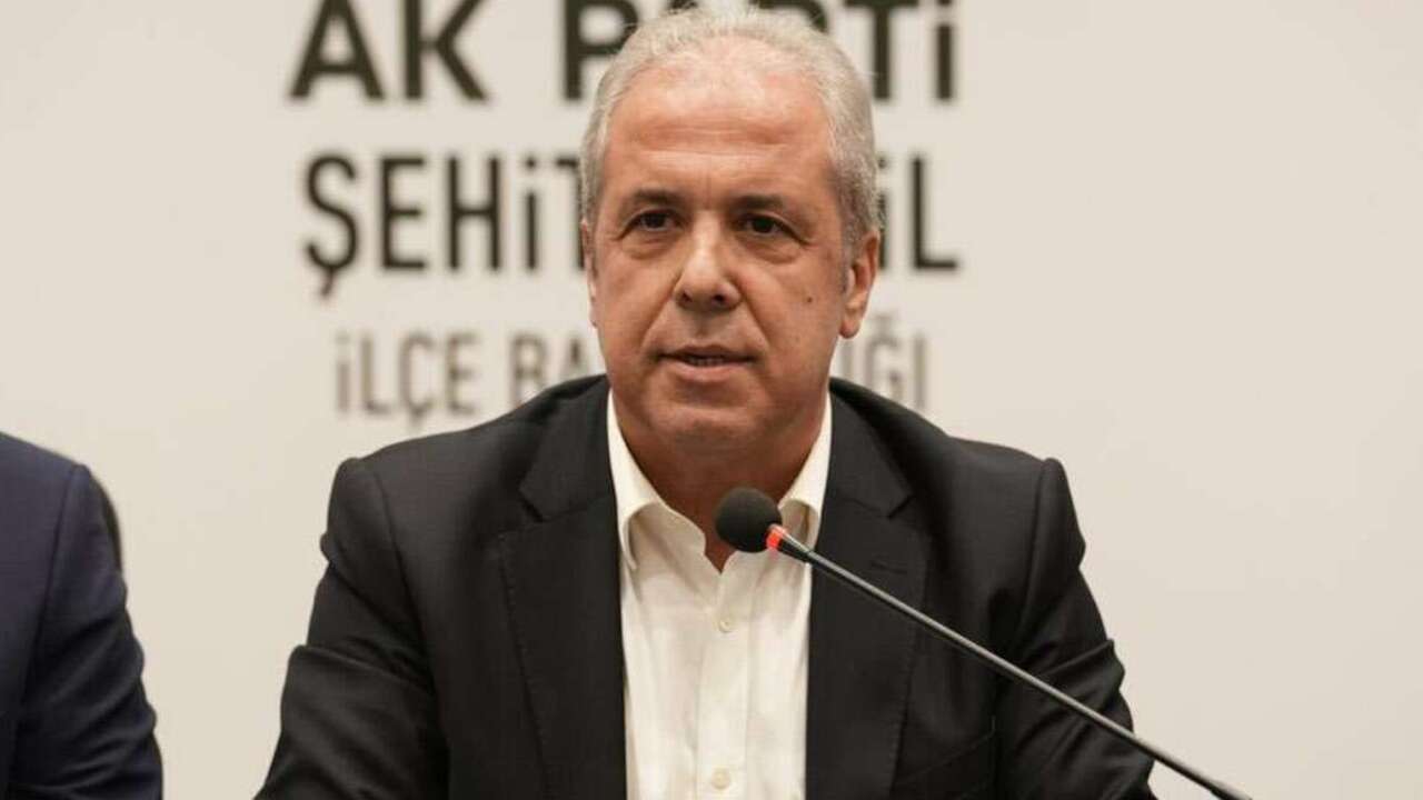 Şamil Tayyar'dan Can Holding soruşturması yorumu: Ya dosyaların içi boştu, ya devlet mücadeleden vazgeçti