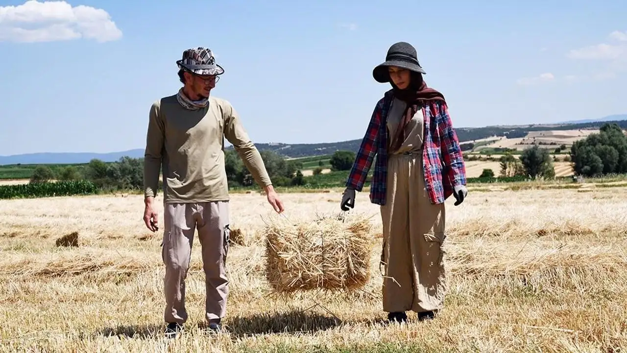 Maaşlı çiftçilik: Bekara 2, evliye 3 asgari ücret desteği