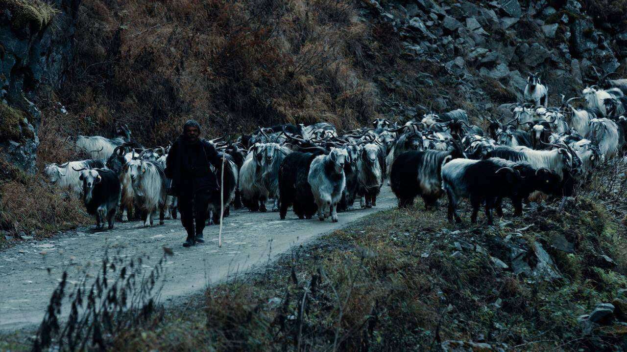 “Keçi 501” belgeseli seyirci karşısında