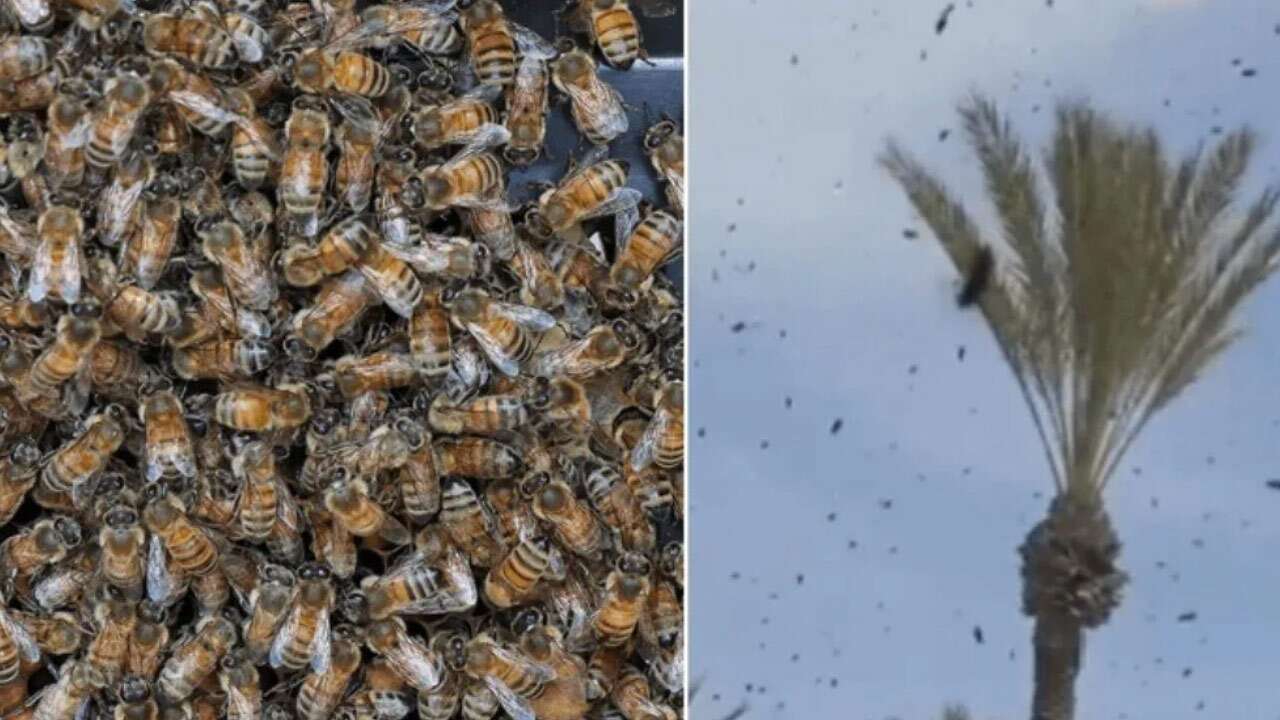 İsrail tarihinin en büyük doğa olayı: İnsanlar evlerine, askeri uçaklar hangarlara çekildi!