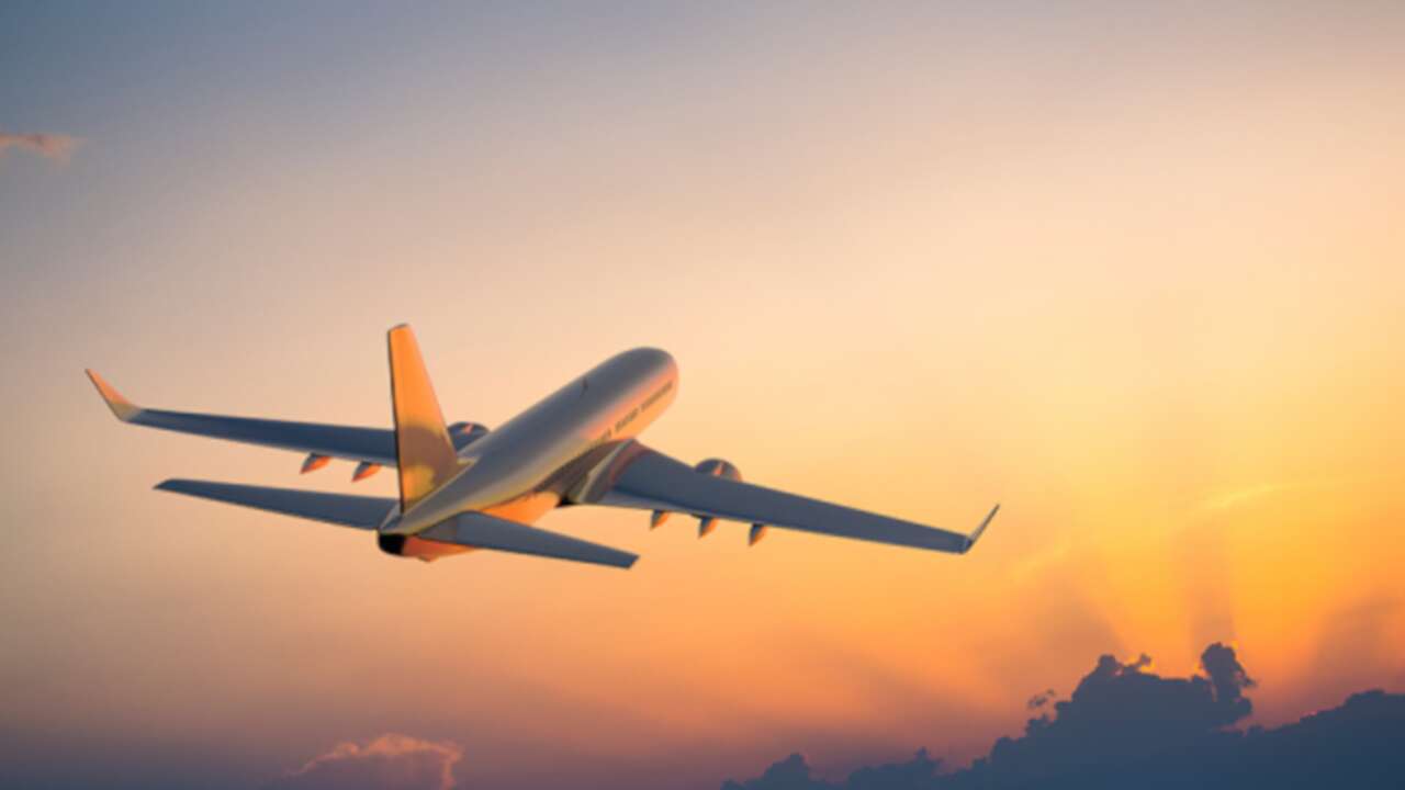 Havacılık dünyasını karıştıran ses kaydı: 'Miyav... Hav hav...'