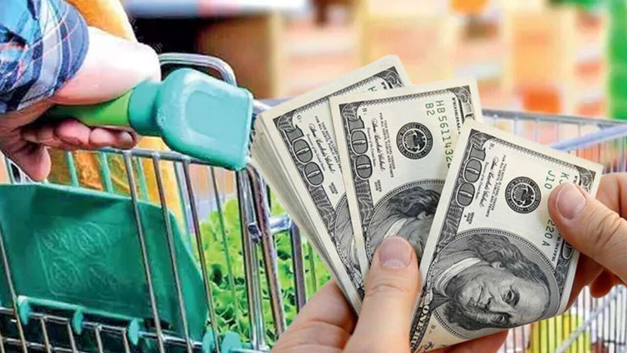 Dolar ve enflasyon beklentisi belli oldu