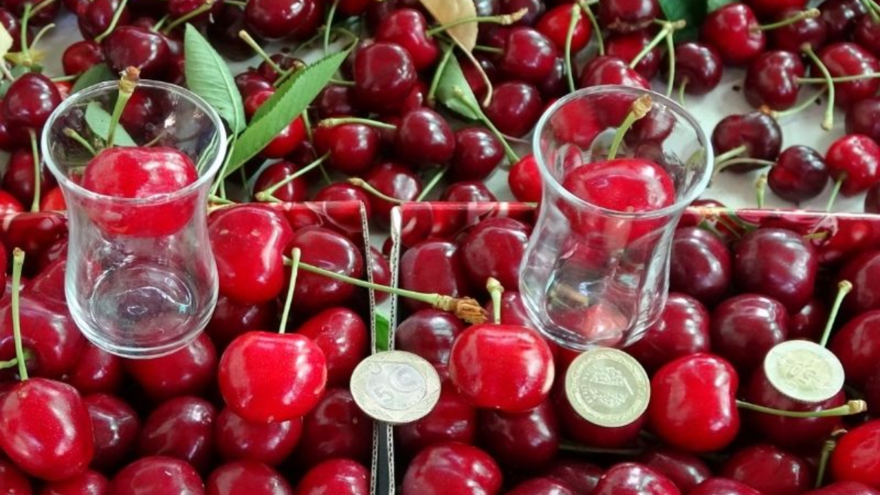 Kilosu tam 6 bin TL! Yılın ilk kirazı altınla yarışıyor