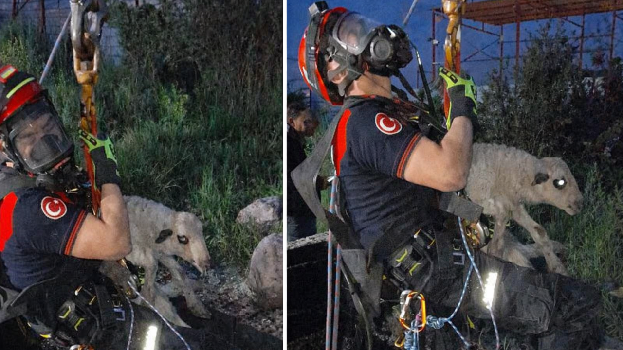 İzmir'de nefes kesen kurtarma: 20 Metrelik ölüm kuyusundan sağ çıktı!