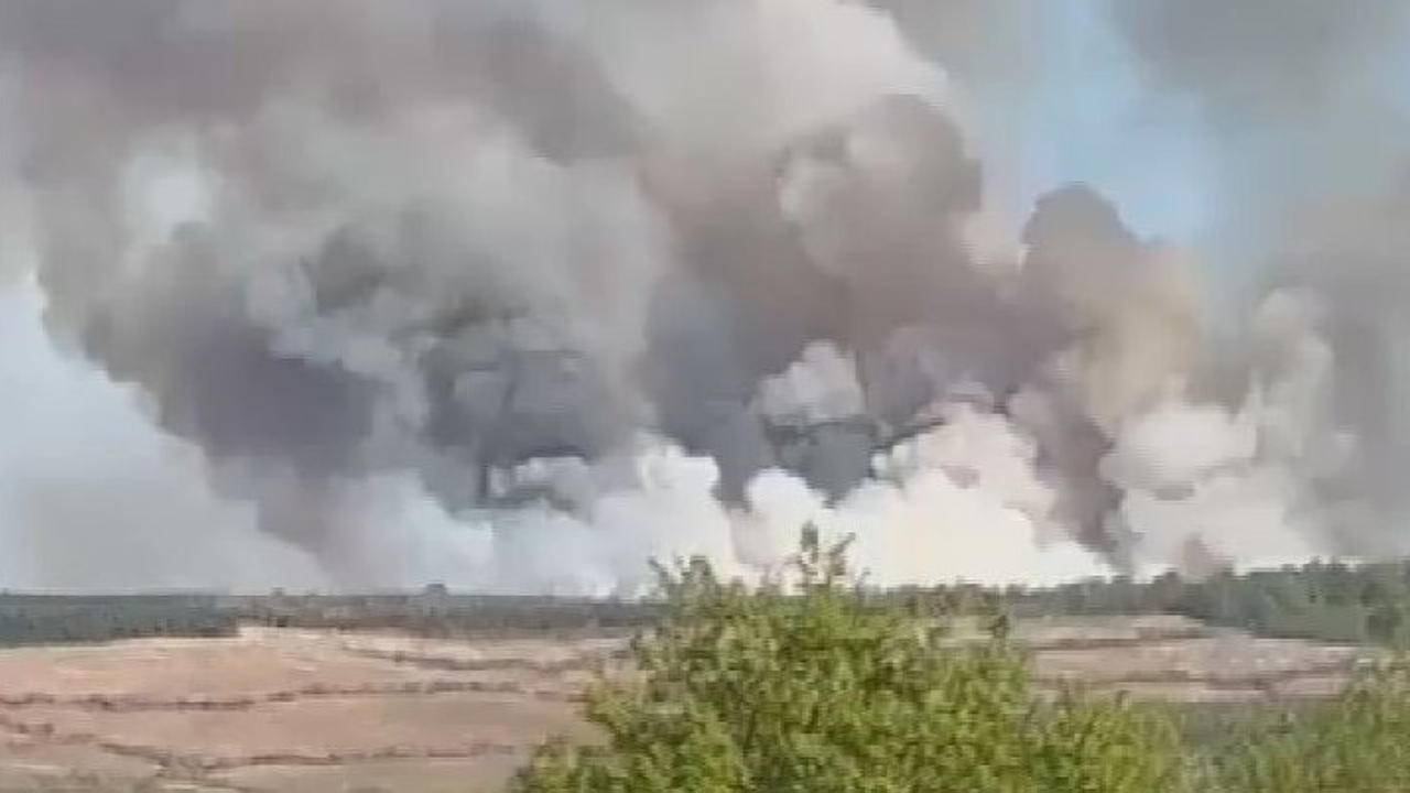 Beykoz'da yangın paniği: Ormanlık alanda alevler yükseldi