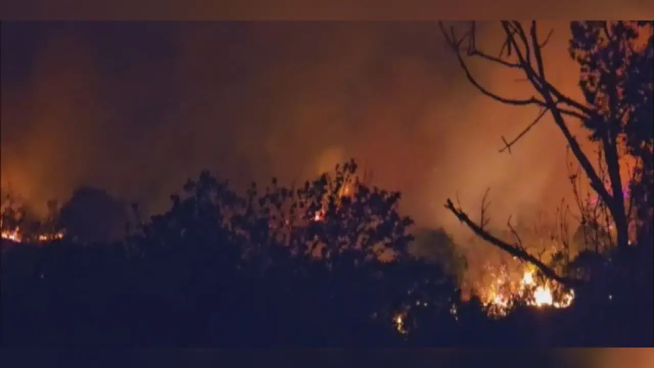 Beykoz’da saatler süren orman yangınından iyi haber