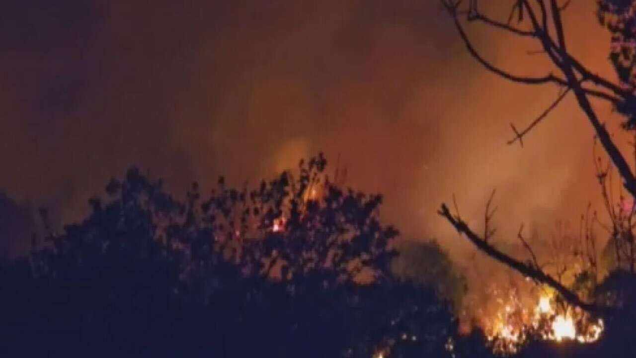Beykoz’da saatler süren orman yangınından iyi haber