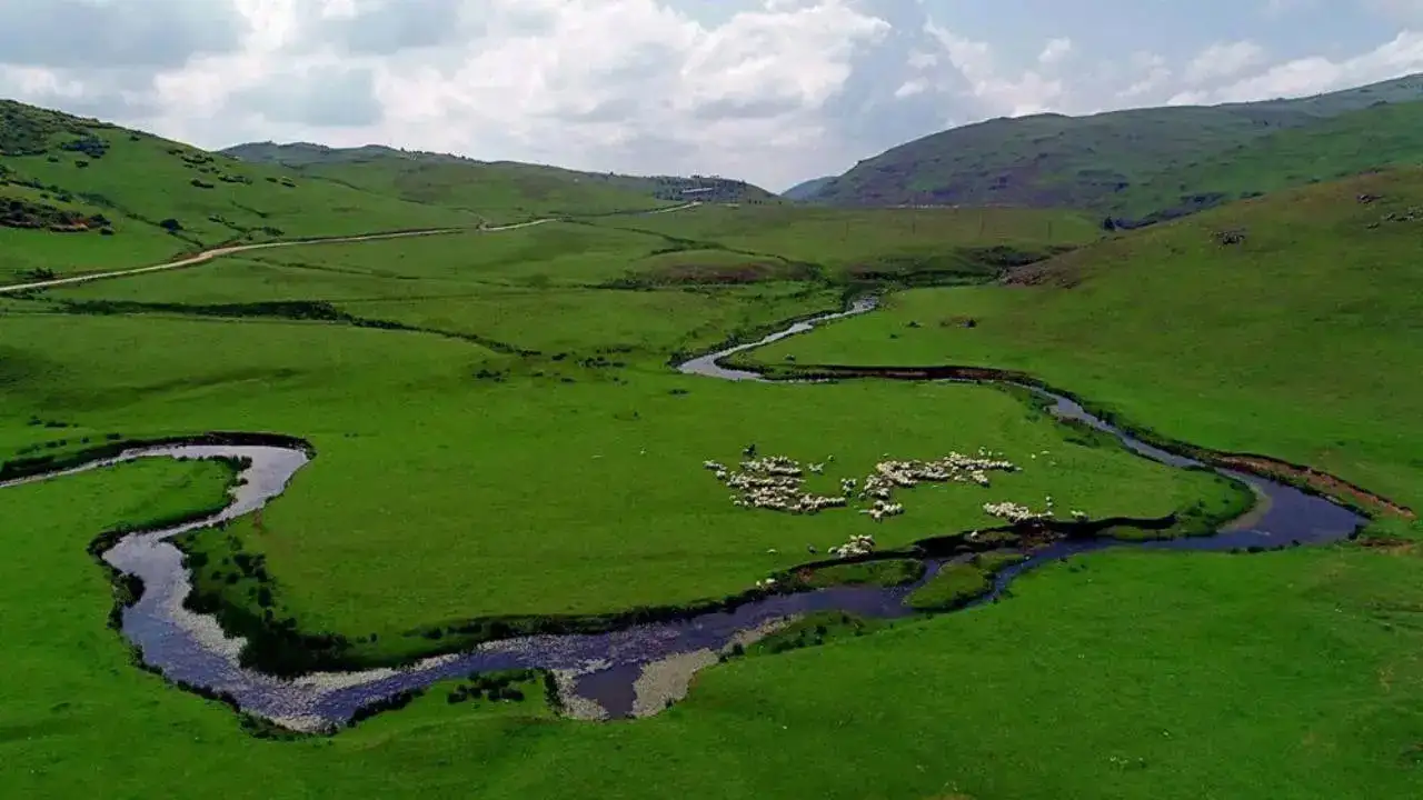 Karadeniz'de maden yağması devam ediyor: Doğal sit alanına  jandarma eşliğinde girdiler