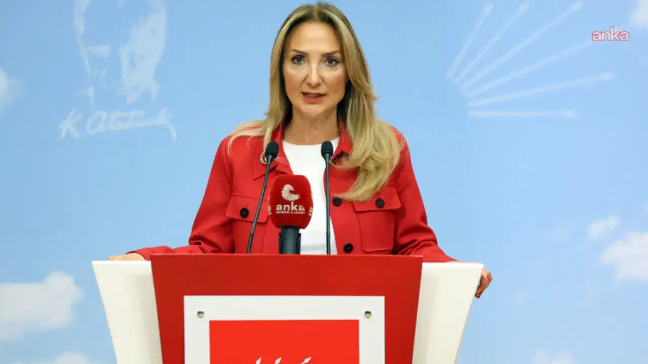 CHP’li Aylin Nazlıaka: Nadira olmazsa bu soruşturmalar eksik kalır